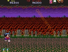 une photo d'Ã©cran de Pistol Daimyo No Bouken sur Arcade